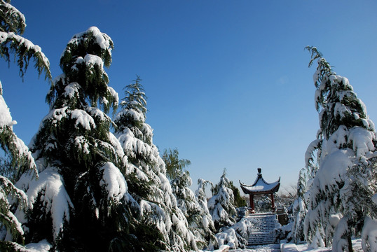 雪景