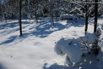 冰雪 冬季