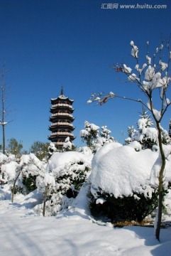 冰雪 冬季