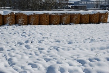 瑞雪兆丰年