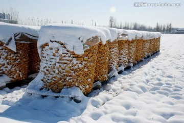 瑞雪兆丰年