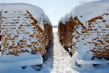 瑞雪兆丰年