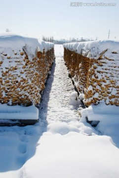 瑞雪兆丰年