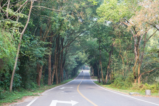 武夷山风景区 武夷山旅游路