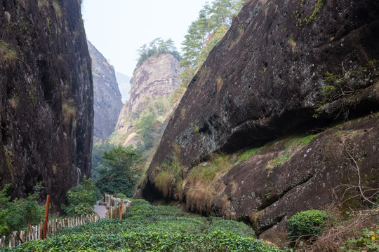 武夷山风景区 武夷山旅游