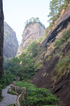 武夷山风景区 武夷山旅游