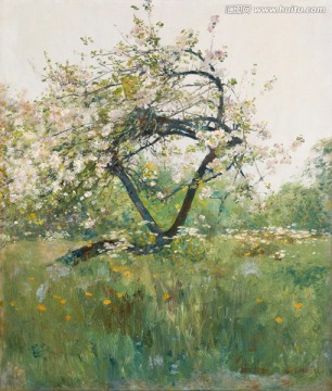 花卉油畫