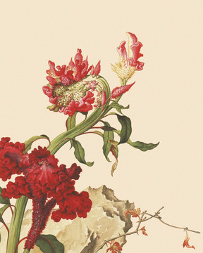 花鳥國(guó)畫