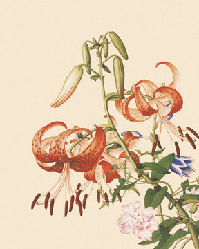 花鳥國畫
