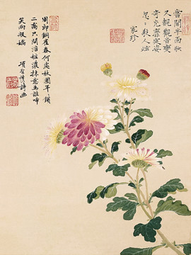 工筆花鳥(niǎo)國(guó)畫(huà)