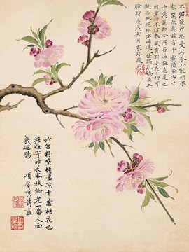 工筆花鳥國畫