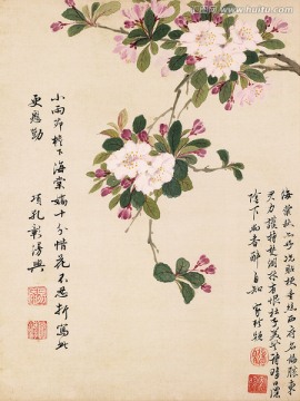 工筆花鳥國畫