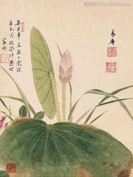 工筆花鳥國畫