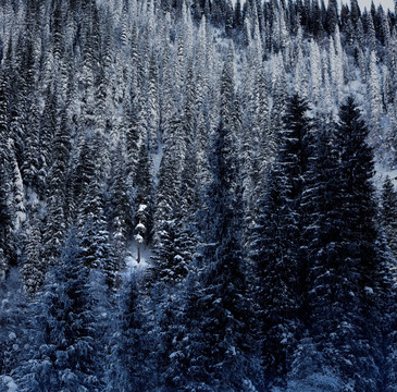 雪岭