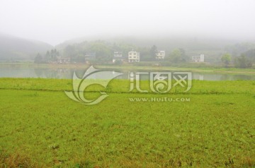 烟雨乡村