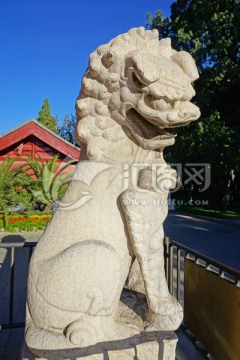 北京中山公园宋代石狮