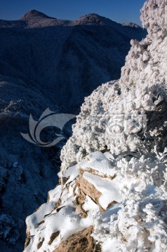 雪地