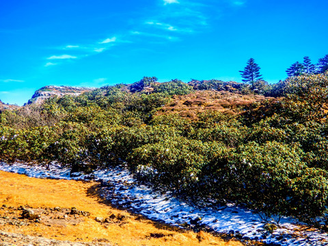 云南轿子雪山景区