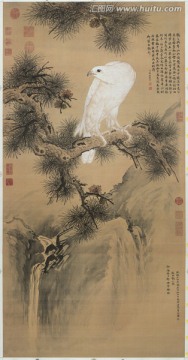 郎世寧 白鶻圖