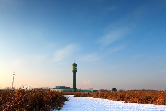 湿地 芦苇 雪 观光塔