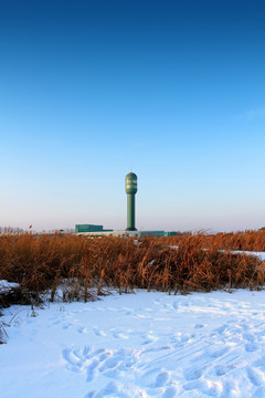 湿地 芦苇 雪 观光塔