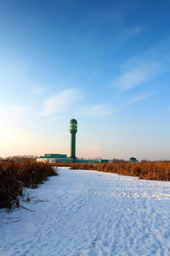 湿地 芦苇 雪 观光塔