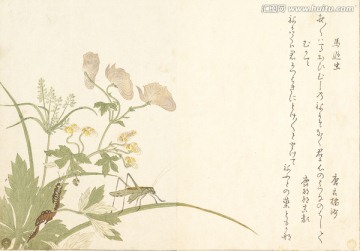 高清橫幅美女浮世繪