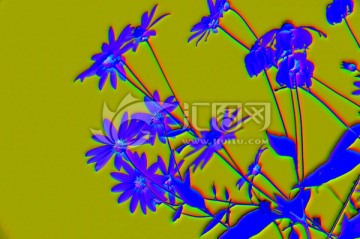 花卉裝飾畫