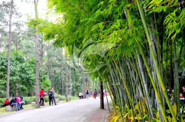 休闲生活 城市绿化公园