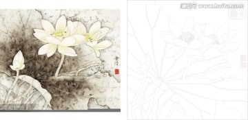 荷花小樣