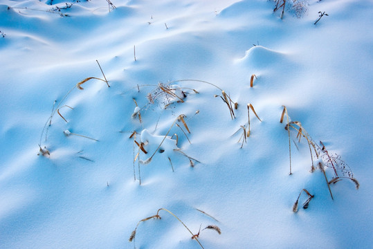 雪地