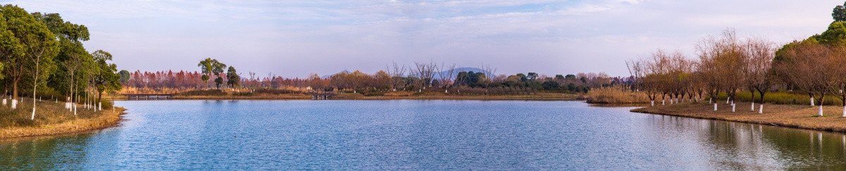 太湖湿地公园大幅全景图