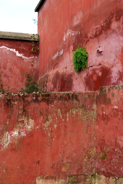 红墙 寺庙红墙