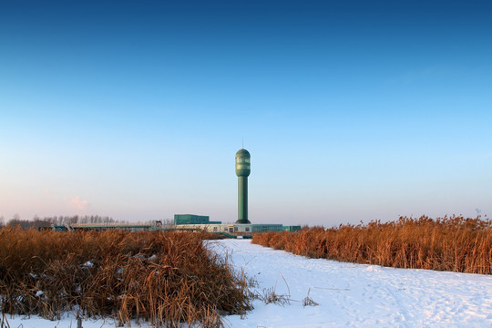 濕地 蘆葦 雪 觀光塔