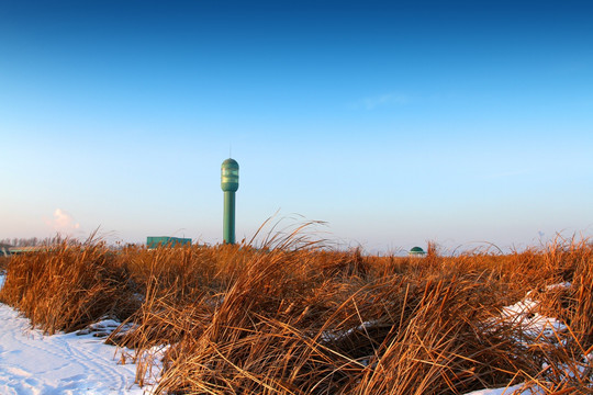 湿地 芦苇 雪 观光塔