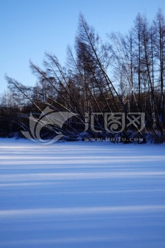 雪原树林