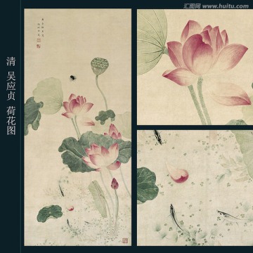 吳應(yīng)貞 荷花圖