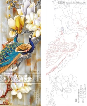 孔雀玉蘭