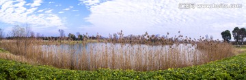 太湖湿地公园全景