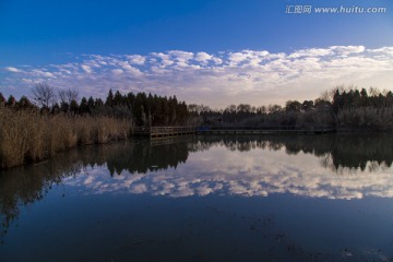 太湖湿地芦苇荡