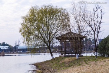 濕地公園風光