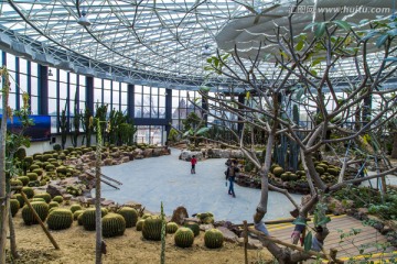 热带沙生植物馆