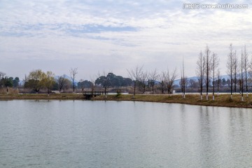 太湖湿地