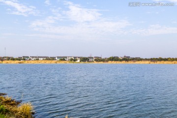 太湖湿地风光