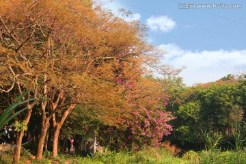 深圳风景