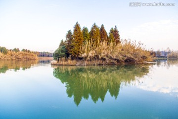 太湖芦苇荡