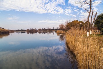 湖泊湿地