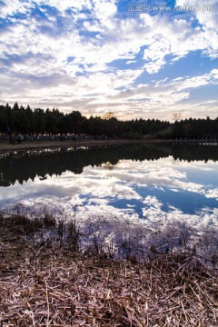 太湖湿地公园