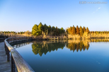 太湖湿地公园