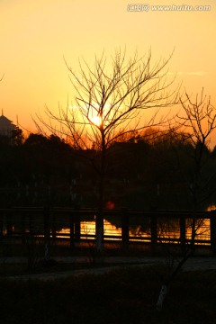 蘇州太湖國家濕地公園日落